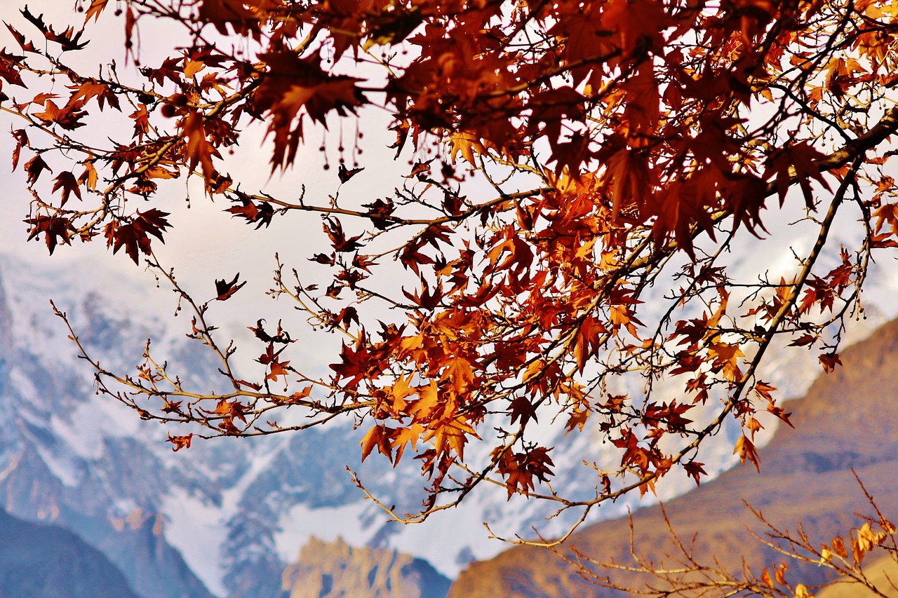 Hunza Spring Blossom Tour