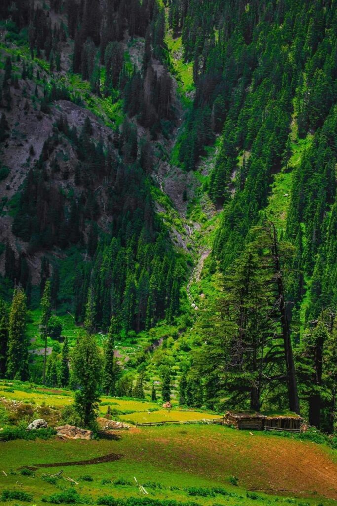 Northern Pakistan Tourism