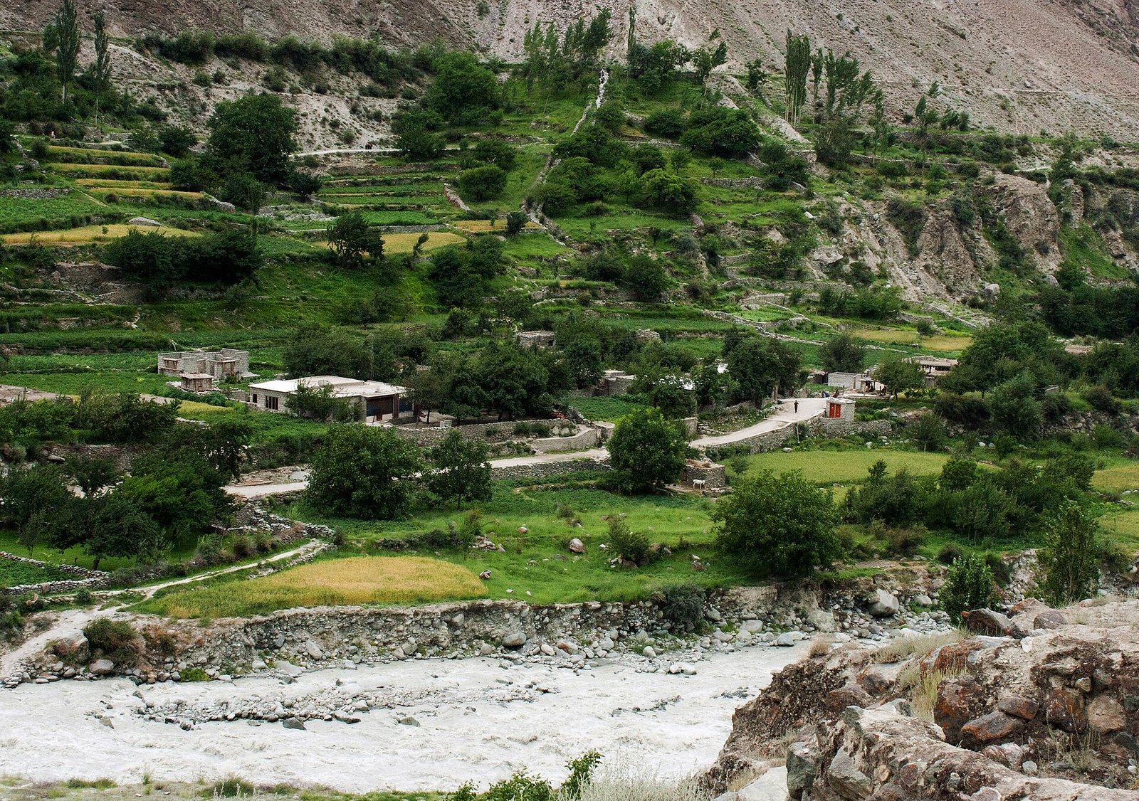 Bagrot Valley near Gilgit, with green fields below the mountains