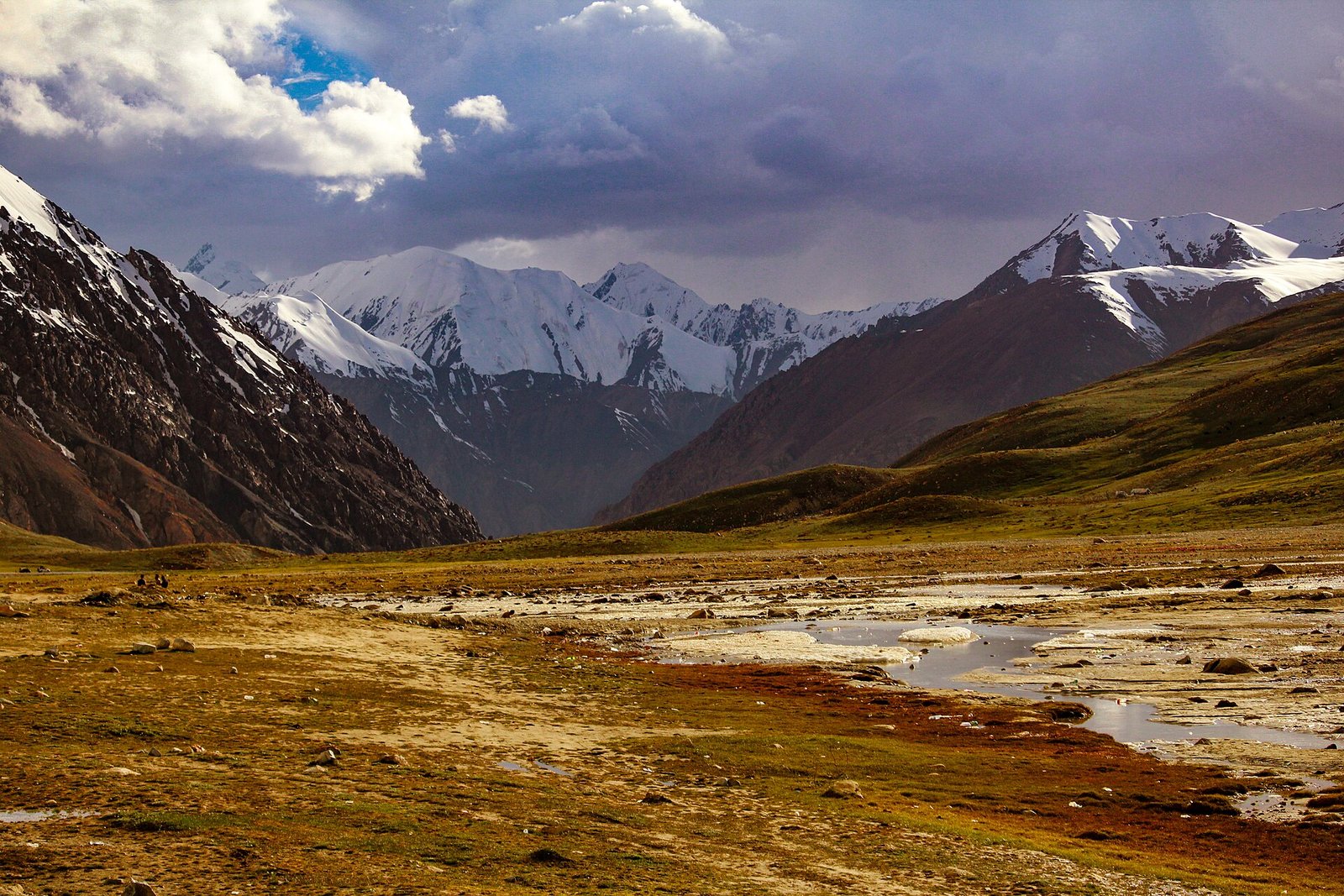Khunjerab National Park: high-altitude grassland below snowy peaks
