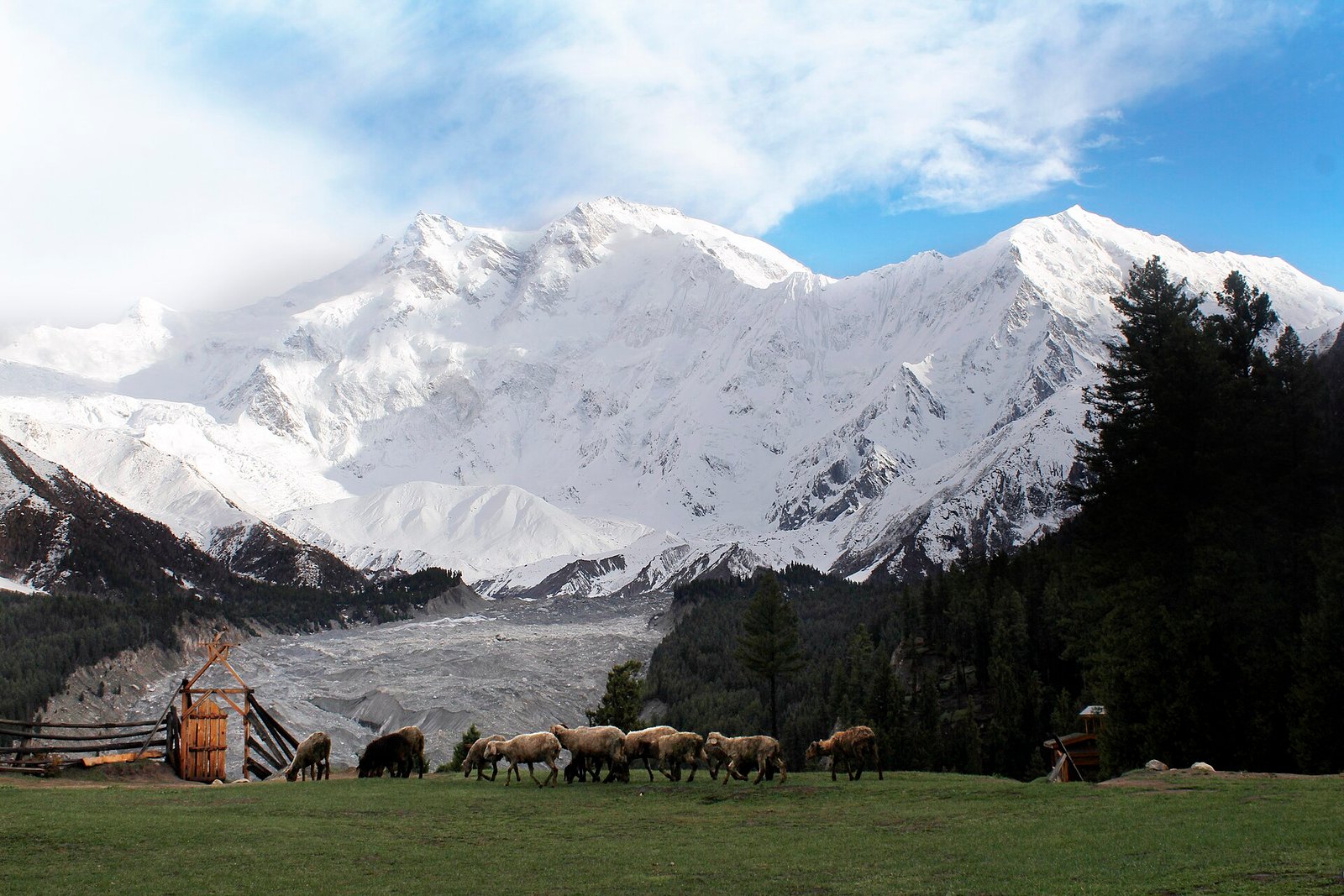 Pakistan itinerary: Nanga Parbat from Fairy Meadows