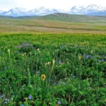 Deosai Plains Jeep Safari, Pakistan