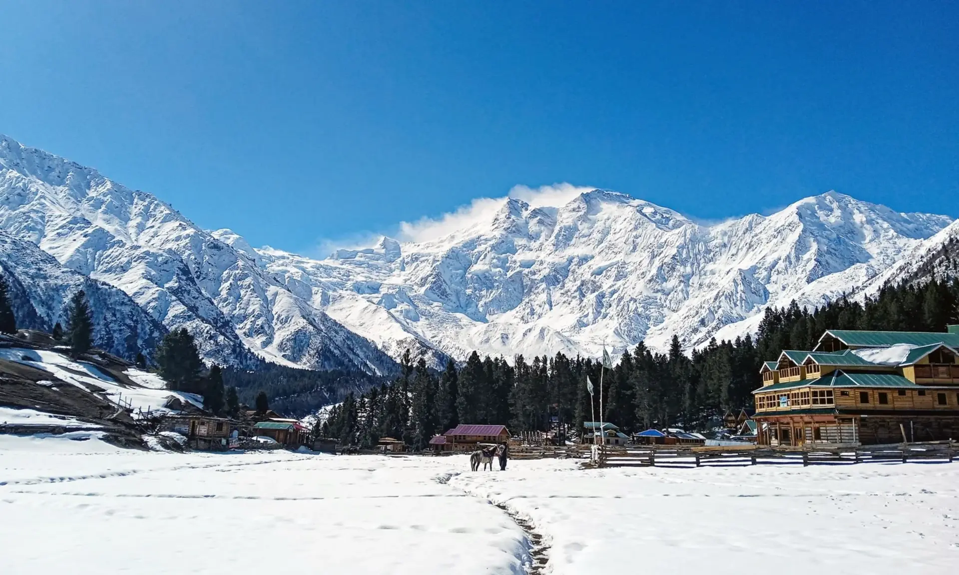 Nanga Parbat above snowy Fairy Meadows, Pakistan