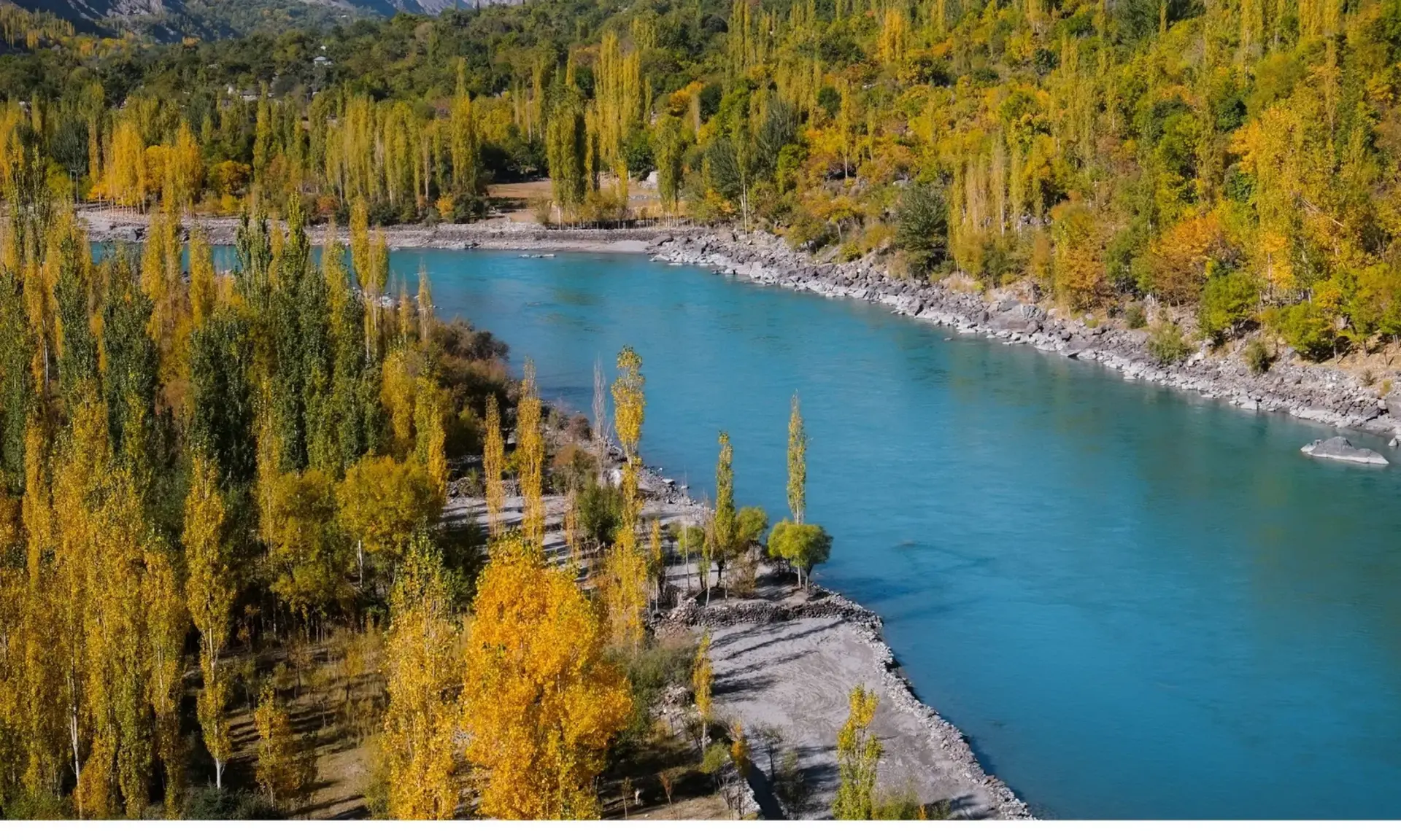 The turquoise Ghizer River and autumn trees near Phander, Pakistan