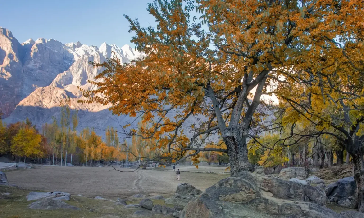 Autumn colours in Gilgit-Baltistan, Pakistan