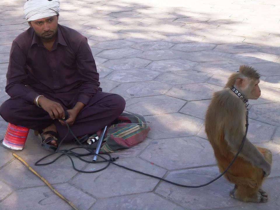 Lok Virsa Folk Festival Tour, Islamabad: Folk artisans and visitors at the Lok Virsa cultural festival in Islamabad, Pakistan