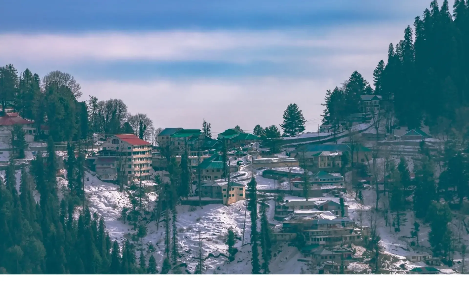 Snow-covered pine forest and houses in Murree, Galiyat