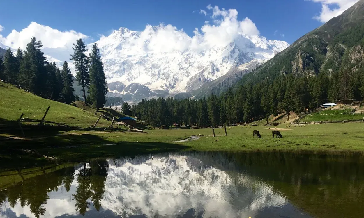 Nanga Parbat reflected in a lake at Fairy Meadows on the Nanga Parbat Base Camp Trek, Pakistan