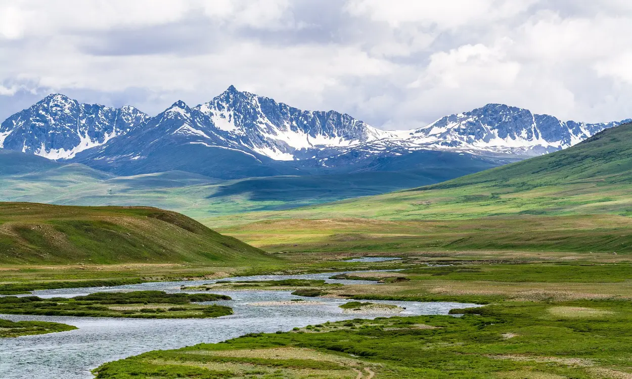 A winding stream across the green Deosai Plains below snowy peaks, Gilgit-Baltistan, Pakistan