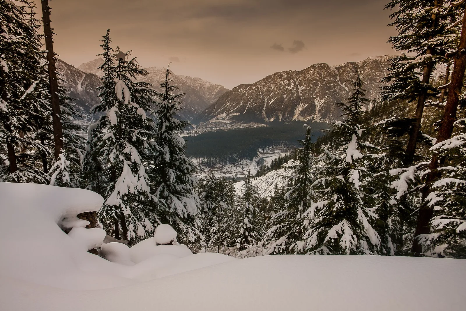 Swat & Kalam Snow Tour: Snow-covered forest and mountains of Kalam Valley, Swat, Pakistan in winter