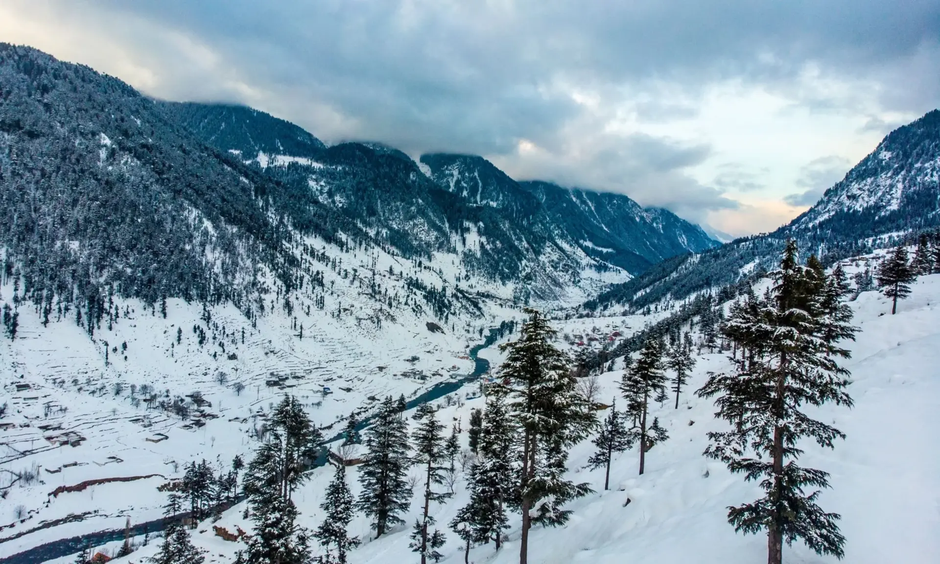 Snow-covered pine forest and mountains in Swat Valley, Pakistan