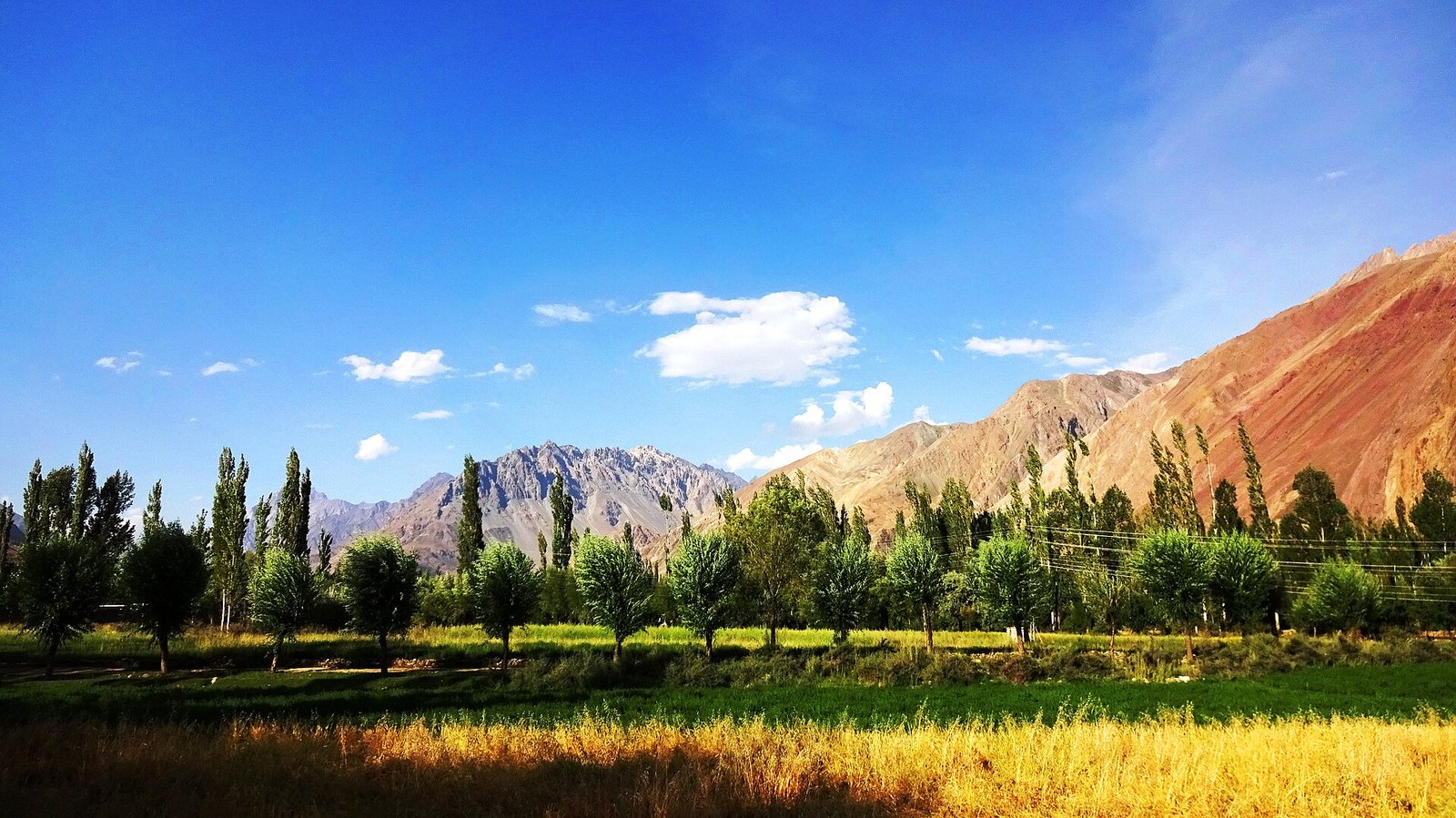 Yasin Valley in summer, Ghizer district